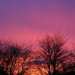 img_0043.jpg
