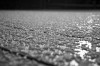 20090308_hagel_anja_0122