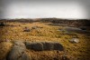 Sonntag, 08. März: Wanderung im Lyefjell, direkt hinter unserer Tür.
