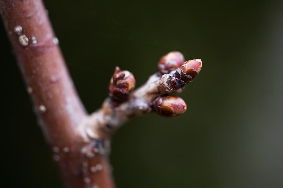 Der Frühling zeigt sich überall.
