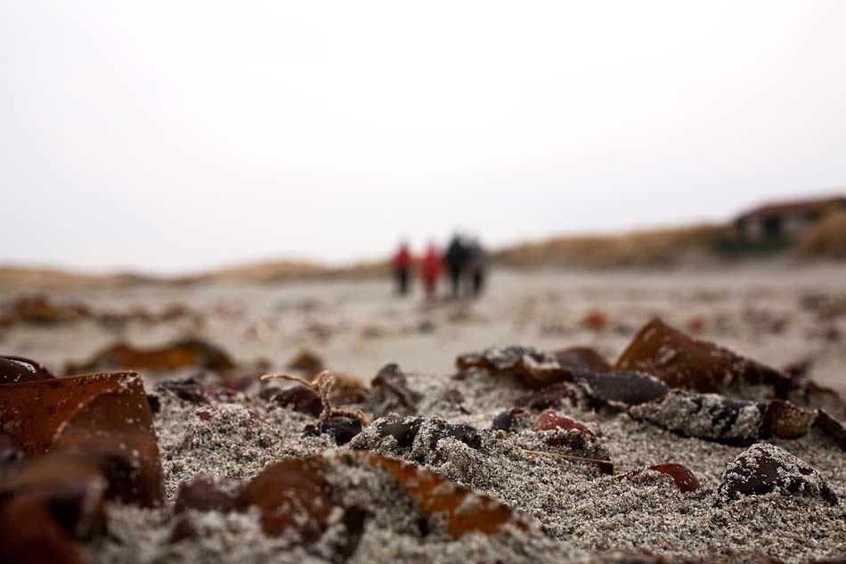 Strandausflug mit den Schuberts.