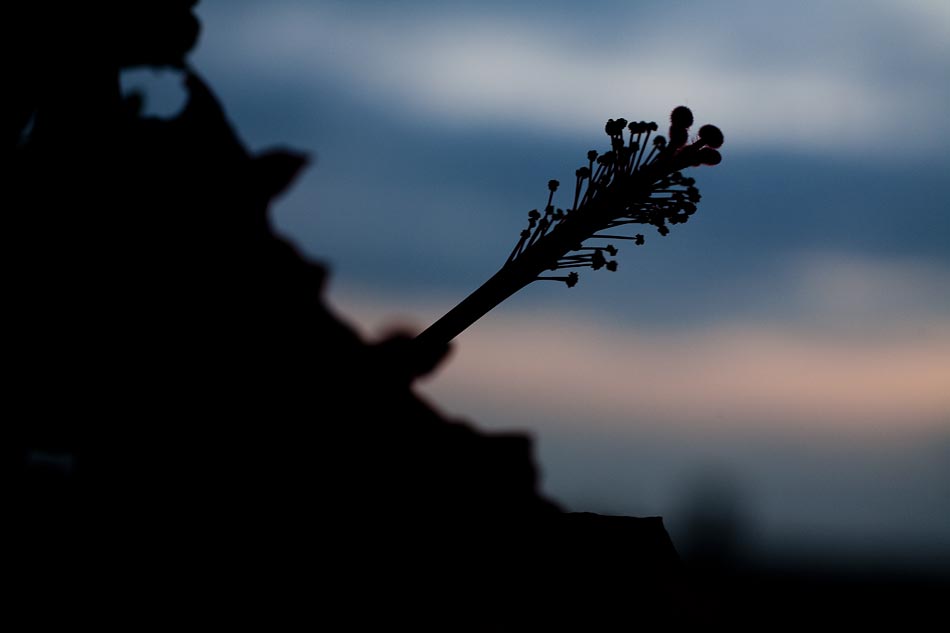 Ein langer Tag geht zu Ende. Leider war heute nicht alles perfekt - aber vielleicht geht es ja morgen wieder aufwärts. :)