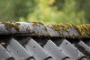 Das ganze Wochenende: Regen. Aber auf der Insel Huglo, Norwegen, was es trotzdem verdammt gemütlich.