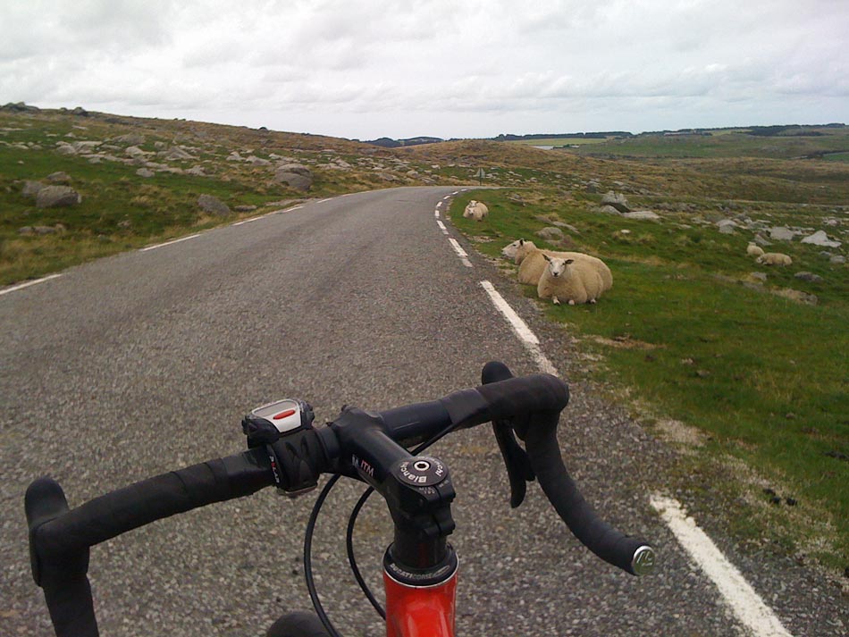 Heute auf ner entspannten Radtour: Moderne Wegelagerei in Norwegen.