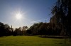 Im Herbst kommt die Sonne auch Mittags nicht mehr so richtig "hoch". Aber dafür gabs blauen Himmel pur.