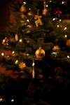 So, der Baum steht und ist geschmückt. Unser erster "eigener" Weihnachtsbaum. Jetzt können die Geschenke ja langsam Platz nehmen :)