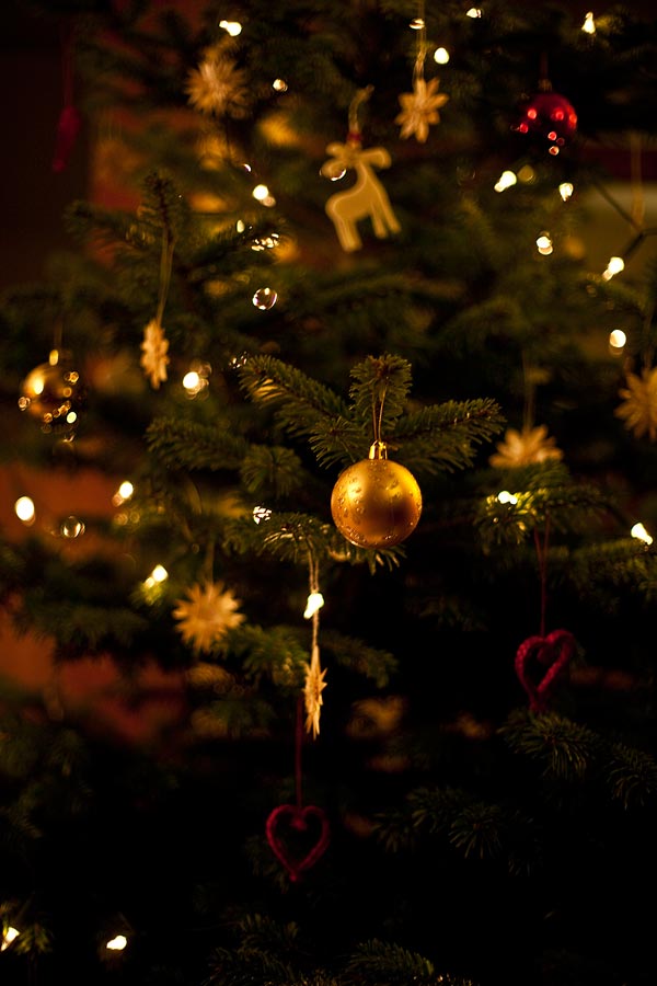 So, der Baum steht und ist geschmückt. Unser erster "eigener" Weihnachtsbaum. Jetzt können die Geschenke ja langsam Platz nehmen :)