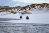 Erst reichlich Schneefall, nun anhaltende Kälte. Dann kann man auch am Strand rodeln. Ich bin gespannt wenn wir dort mit unserem Nachwuchs unterwegs sind :)