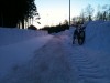 So sieht der Weg von der Arbeit nach Haus aus. Leider auf Grund der einbrechenden Dunkelheit diesmal kein soooo dolles Foto.