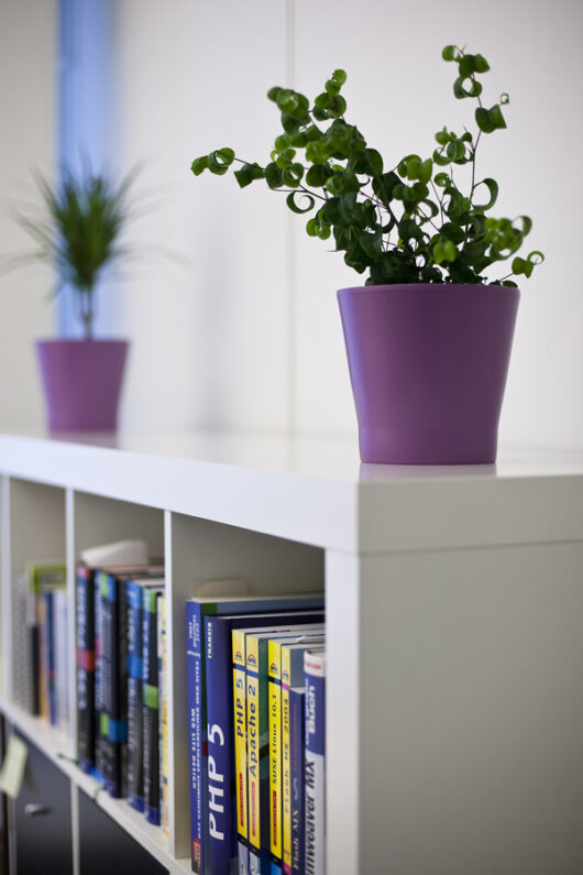 Mein Büro ist klein, aber ausreichend. Sogar Plat für ein Regel und Pflanzen bleibt. Mein Büro ist klein, aber ausreichend. Sogar Plat für ein Regel und Pflanzen bleibt.