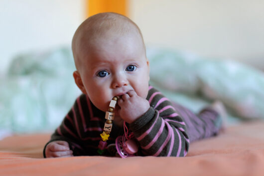 Unsere Lilly muss derzeit immer immer immer was im Mund haben. Auf allem wird rumgekaut und wenns Papas Nase beim Kuscheln ist.
