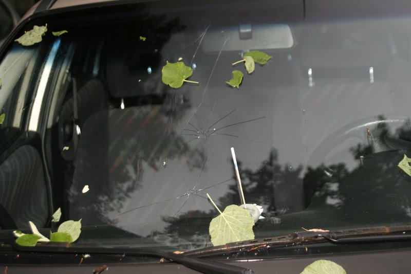 Meine kaputte Autoscheibe