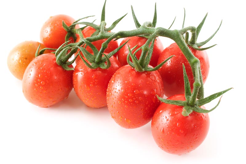 Frische Tomaten!
