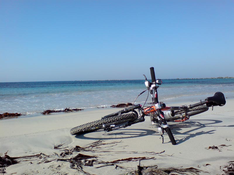 Ausflug heute am Strand. Fantastisches Wetter.