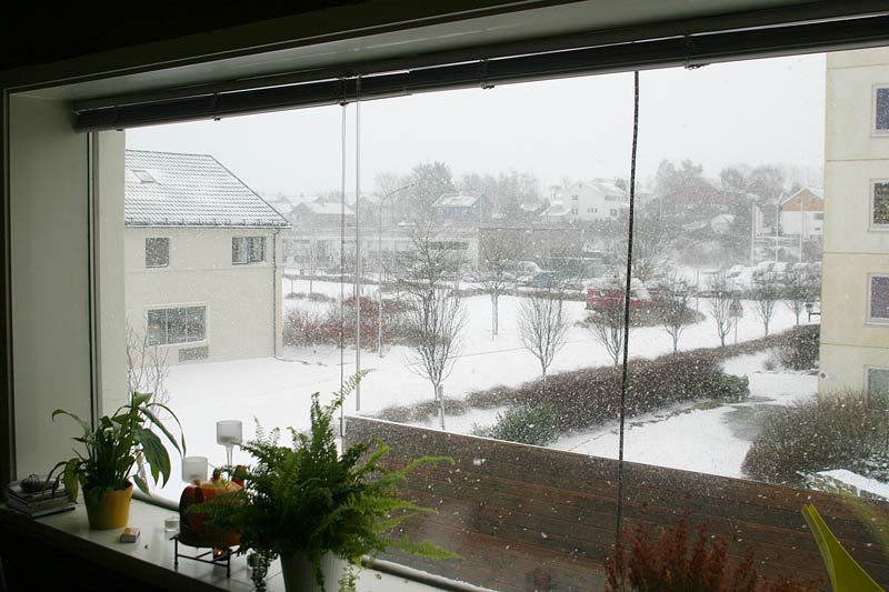 So sieht es aus, wenn wir aus dem Fenster schauen wenn es schneit.