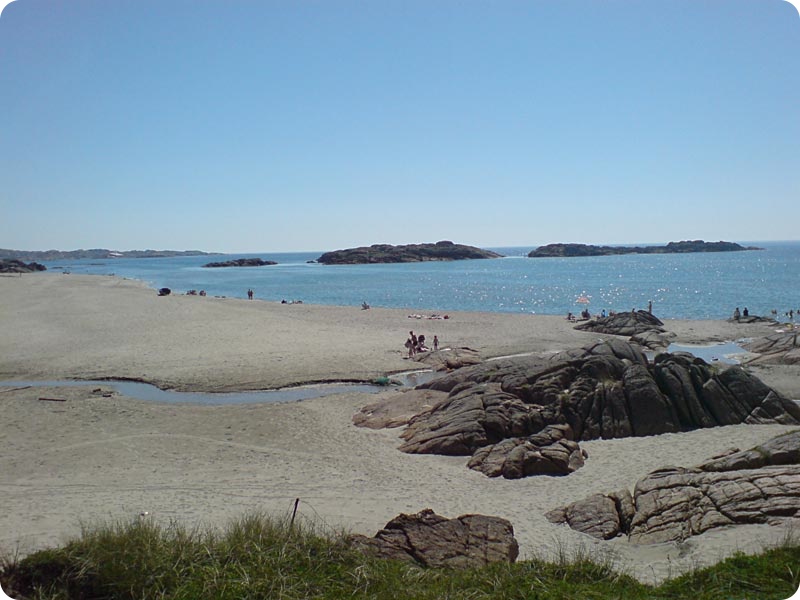 DSC00101_2.jpg