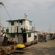 IMG_5533.jpg