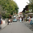 IMG_5551.jpg