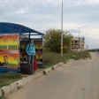 IMG_6062.jpg
