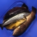 Der Fang unserer GÃ¤ste: fÃ¼nf leckere Fische. Zwei davon hat Christian gefangen.