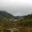 IMG_4480.jpg
