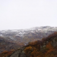 DSC02904.jpg