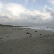 Gerade wenn die Tage stÃ¼rmisch sind und das Meer aufgewÃ¼hlter.