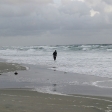 Und Kiter sind hart im Nehmen. Stundenlang im Wasser, egal wie kalt es ist.
